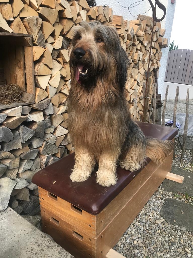 Wäller von der Straubenhalde